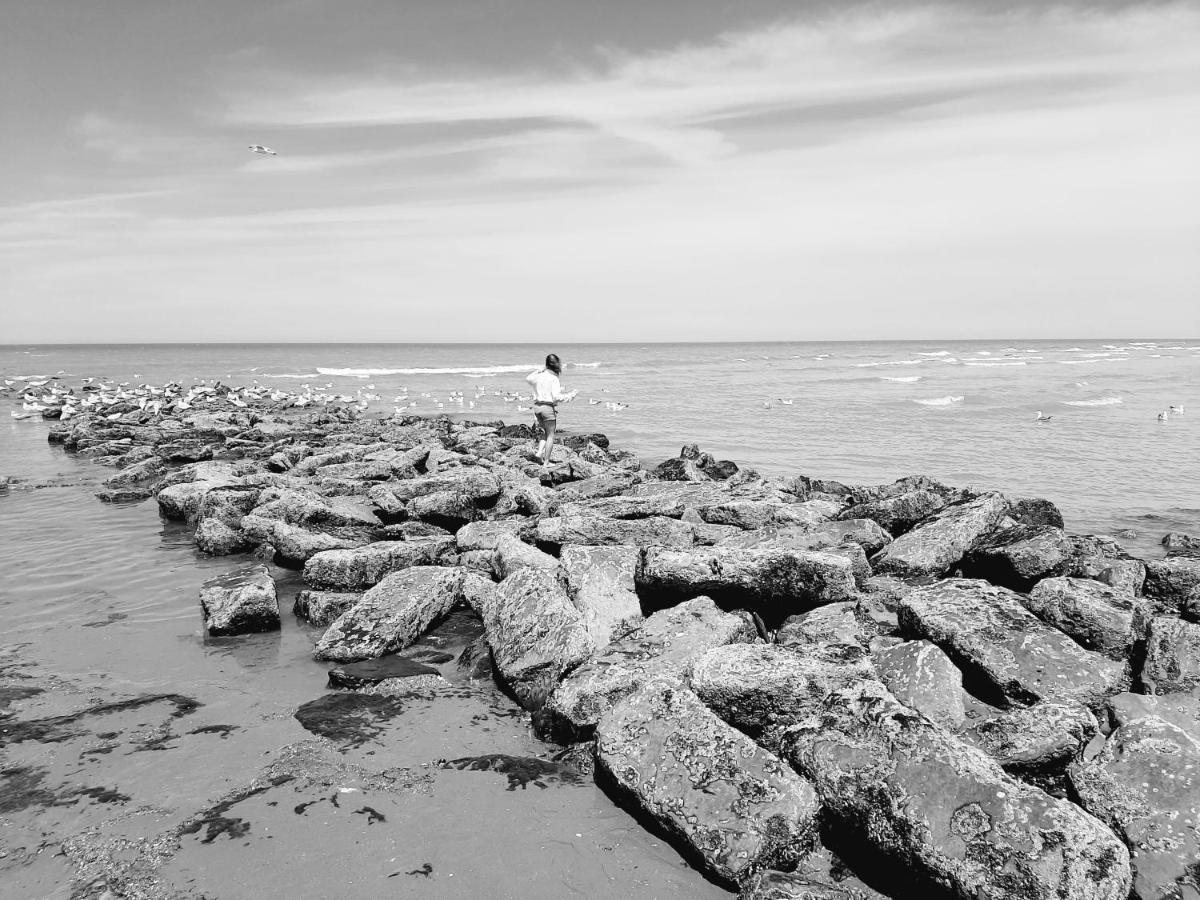Sealview Nevada Daire Koksijde Dış mekan fotoğraf